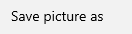 chrome download icon